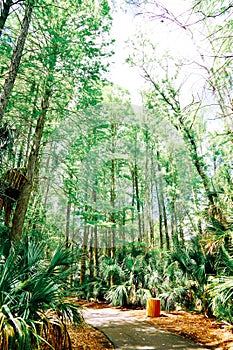 The Trail landscape of Lake parker in Lakeland, Florida