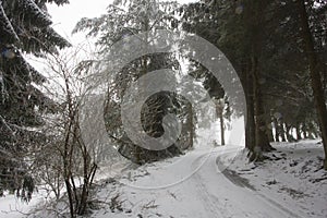 Trail and landscape of snowy Vosges mountains, France