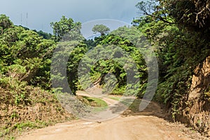 Trail leadinf from Santa Elena village to Cerro Amigos mountain, Costa Ri