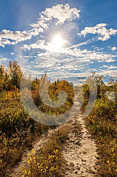 Trail Leading Through A Fall Park