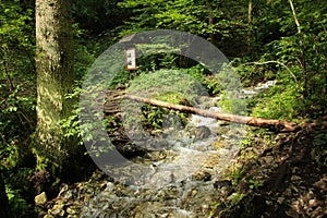 A trail leading through more forest places in the Slovak Paradise National Park