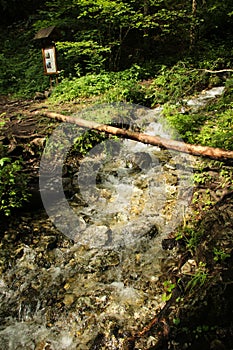 A trail leading through more forest places in the Slovak Paradise National Park