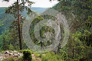 A trail leading through more forest places in the Slovak Paradise National Park