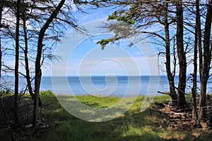 Trail leading out of the woods to the beach near Saint Peter`s Nova Scotia on a beautiful summer day