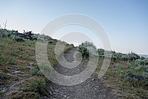 Trail Leading Over Hill With Clear Sky