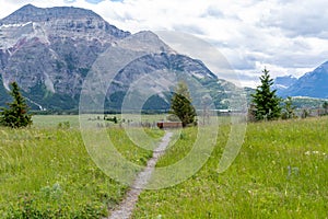 Trail leading to a loney bench, in Waterton Lakes National Park Canada