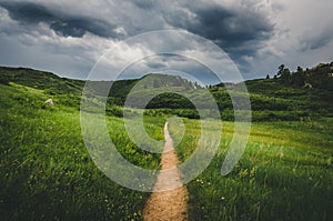 Trail leading to a storm.