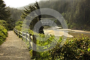 The trail leading up to the lighthouse at Heceta head state park. photo