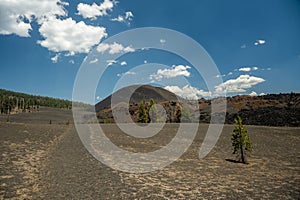 Trail Leads Through Lava Bed Toward Cinder Cone