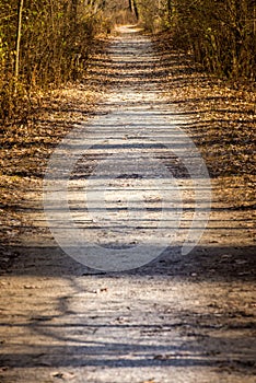 Trail at the Little Red Schoolhouse Nature Center