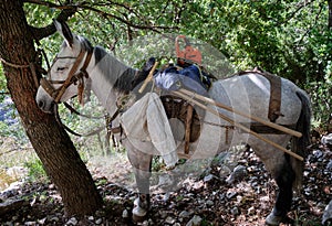 Trail maintenance mule