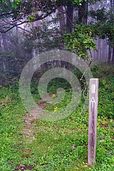 Trail Marker on the Appalachian Trail