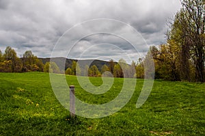 Trail marker in a meadow along the Appalachian Trail