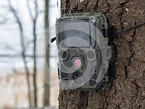 Trail mini camera on a tree
