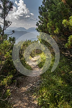 Trail in Mittenwald