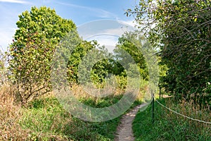 Trail at the Montrose Point Bird Sanctuary in Uptown Chicago