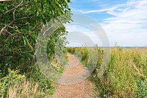 Trail at the Montrose Point Bird Sanctuary in Uptown Chicago