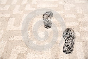 Trail of muddy footprints on carpet
