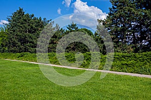 A trail near a green lawn along a park with green bushes of evergreen thuja and pine trees.