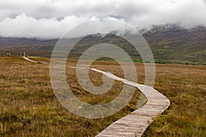 Trail over the bog