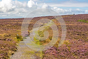 Trail over Knocknarea mountain