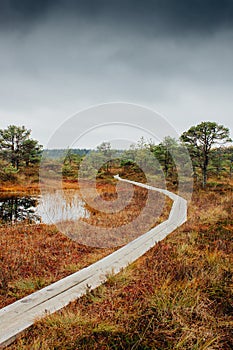 Trail over swamp Kakerdaja in Estonia