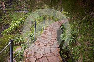 Trail path next to levada canal at Levada das 25 Fontes trail, Madeira