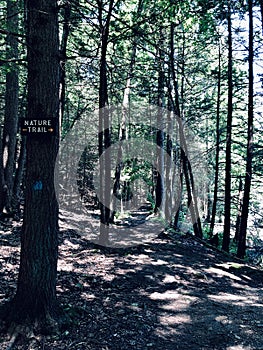 The trail path and trail route marker inside Mine Hills Preserve