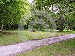 Trail and picnic table at Ardentinny in the Argyll Forest Park, Scotland