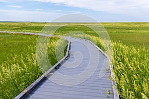 Trail at Prairie Wind Overlook in Badland national park during summer. From grassland to valley. Badland landscape South Dakota