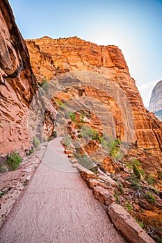 Trail through red rocks in Zion National Park