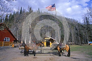 Trail ride tourist attraction, Alaska