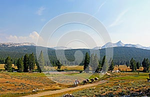 Trail riding, Tuolumne Meadows, Yosemite National Park