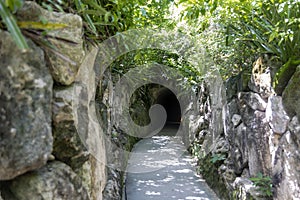 Trail and road through a tropical jungle with a stone wall that leads to a cave in the Xcaret park in the Mayan Riviera in Mexico