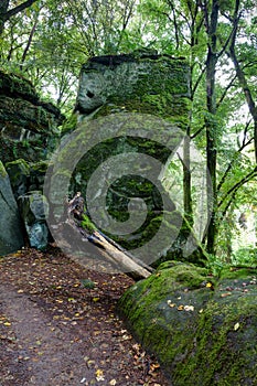 Trail, rock formation, fallen tree, MÃ¼llerthal, Luxembourg