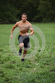 Trail Runner