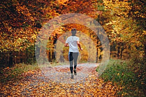 Trail runner in colorful autumn nature. Athlete training in Carpathian forest