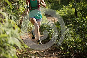 Trail runner running in morning forest