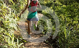 Trail runner running on tropical forest trail