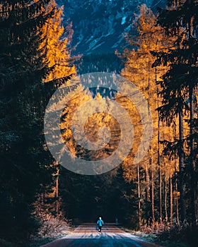 Trail runner train in autumn nature. High Tatras Mountains, Slovakia