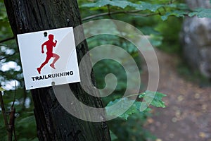 Trail running track mark on a tree