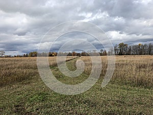 Trail through Rye Fields