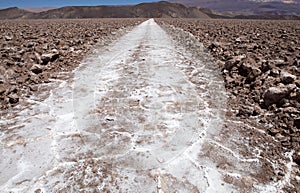 Trail through the Salar of Antofalla at the Puna de Atacama, Argentina