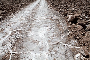 Trail through the Salar of Antofalla at the Puna de Atacama, Argentina