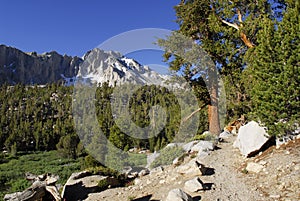 Trail in Sierra Nevada mountains