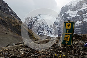 Trail sign that marks two paths, one path for hikers and another for horses