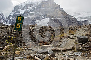 Trail sign that marks two paths, one path for hikers and another for horses