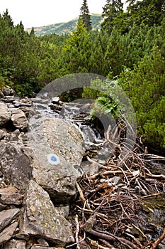 Trail sign on rough terrain