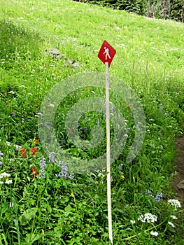 Trail sign on Tod Mountain hiking trail. BC, Canada