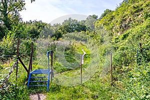 Trail, small metal ladder and wire fence, abundant wild vegetation and green leafed trees in background